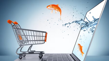 Ecommerce strategy by silver apples digital from Belfast, Northern Ireland