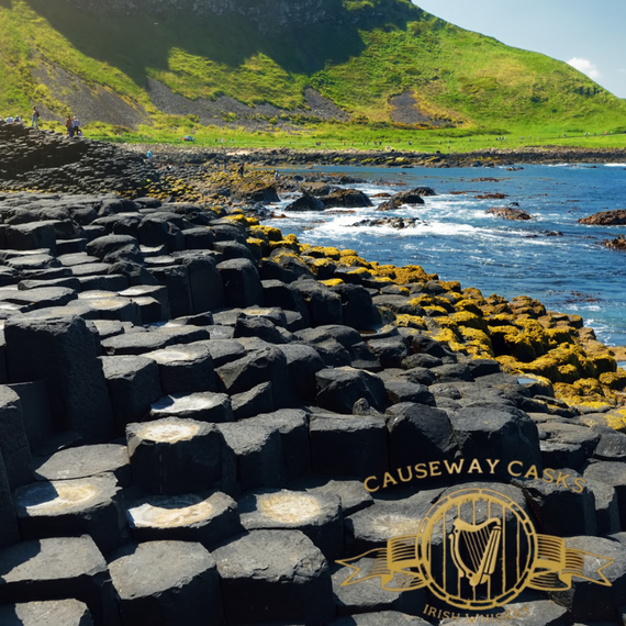 Photo of the Giant's Causeway